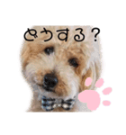かわいいマーティーの生活（個別スタンプ：12）