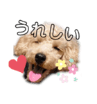 かわいいマーティーの生活（個別スタンプ：16）