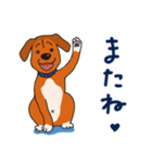 犬のラン（個別スタンプ：7）