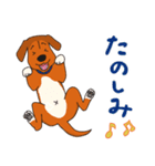 犬のラン（個別スタンプ：8）