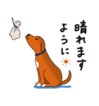 犬のラン（個別スタンプ：10）