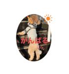 チャチャコちゃん❣️（個別スタンプ：5）
