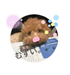 チャチャコちゃん❣️（個別スタンプ：14）