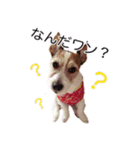 ライムちゃんの日常（個別スタンプ：1）