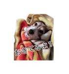ライムちゃんの日常（個別スタンプ：2）