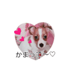 ライムちゃんの日常（個別スタンプ：3）