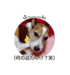 ライムちゃんの日常（個別スタンプ：5）