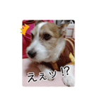 ライムちゃんの日常（個別スタンプ：6）