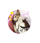 ライムちゃんの日常（個別スタンプ：8）