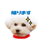 ★もこ＆ころん★（個別スタンプ：1）