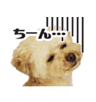 ★もこ＆ころん★（個別スタンプ：2）