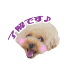 ★もこ＆ころん★（個別スタンプ：3）