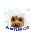 ★もこ＆ころん★（個別スタンプ：5）