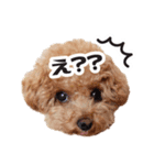 ★もこ＆ころん★（個別スタンプ：6）