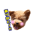 ★もこ＆ころん★（個別スタンプ：7）