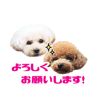 ★もこ＆ころん★（個別スタンプ：8）