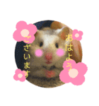 みちおさん。（個別スタンプ：1）