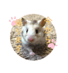 みちおさん。（個別スタンプ：2）