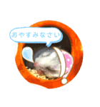みちおさん。（個別スタンプ：3）