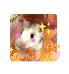 みちおさん。（個別スタンプ：5）
