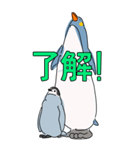 ペンギン親子キャラBIGスタンプ_20200725（個別スタンプ：2）