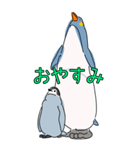 ペンギン親子キャラBIGスタンプ_20200725（個別スタンプ：7）