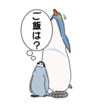 ペンギン親子キャラBIGスタンプ_20200725（個別スタンプ：11）