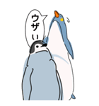 ペンギン親子キャラBIGスタンプ_20200725（個別スタンプ：12）