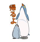 ペンギン親子キャラBIGスタンプ_20200725（個別スタンプ：13）