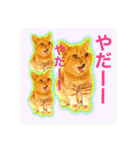 愛する猫たち ベンガル スコ エギゾチック（個別スタンプ：18）