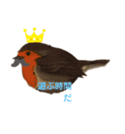いろいろみかんくん（個別スタンプ：8）