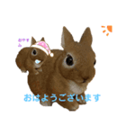 いろいろみかんくん（個別スタンプ：11）