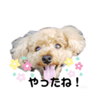 くぅちゃんスタイルPart2（個別スタンプ：3）