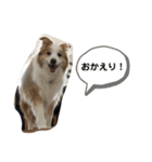 Rui’s Stamp 1（個別スタンプ：2）