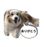 Rui’s Stamp 1（個別スタンプ：4）