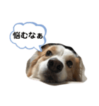 Rui’s Stamp 1（個別スタンプ：6）