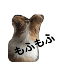 Rui’s Stamp 1（個別スタンプ：11）
