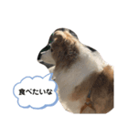 Rui’s Stamp 1（個別スタンプ：19）