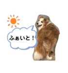 Rui’s Stamp 1（個別スタンプ：20）