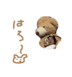 かいちゃんどの日々。（個別スタンプ：12）