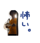 かいちゃんどの日々。（個別スタンプ：13）