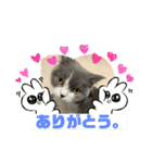 はちくんからメッセージ❣️2（個別スタンプ：2）