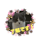 はちくんからメッセージ❣️2（個別スタンプ：4）