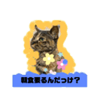 はちくんからメッセージ❣️2（個別スタンプ：6）