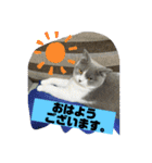 はちくんからメッセージ❣️2（個別スタンプ：9）