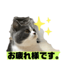 はちくんからメッセージ❣️2（個別スタンプ：11）