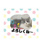 はちくんからメッセージ❣️2（個別スタンプ：12）