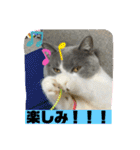 はちくんからメッセージ❣️2（個別スタンプ：14）
