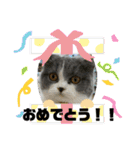 はちくんからメッセージ❣️2（個別スタンプ：22）
