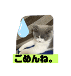 はちくんからメッセージ❣️2（個別スタンプ：24）